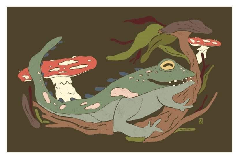 Large Swamp Toad Print