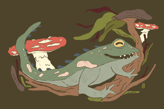 Swamp toad Postcard