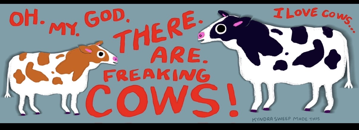 COWS Bumper Sticker