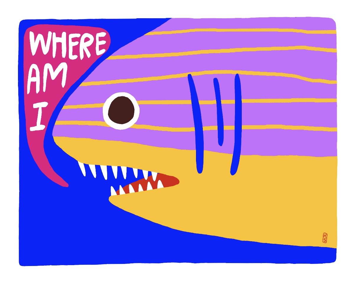 Shark (Where Am I) Print or Postcard